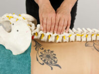 Lumbar Spine Masterclass lumbar-spine