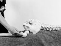 Exercise rehabilitation for the hip and low back 016HP- greater troacanter