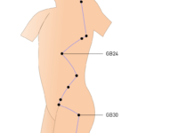 Eastern Meridians and Myofascial Work 6.7.1 GB30